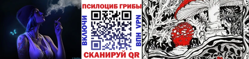 Галлюциногенные грибы Cubensis  Людиново 